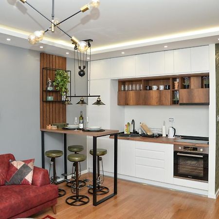 Mirror Apartment With Private Parking نوفي ساد المظهر الخارجي الصورة
