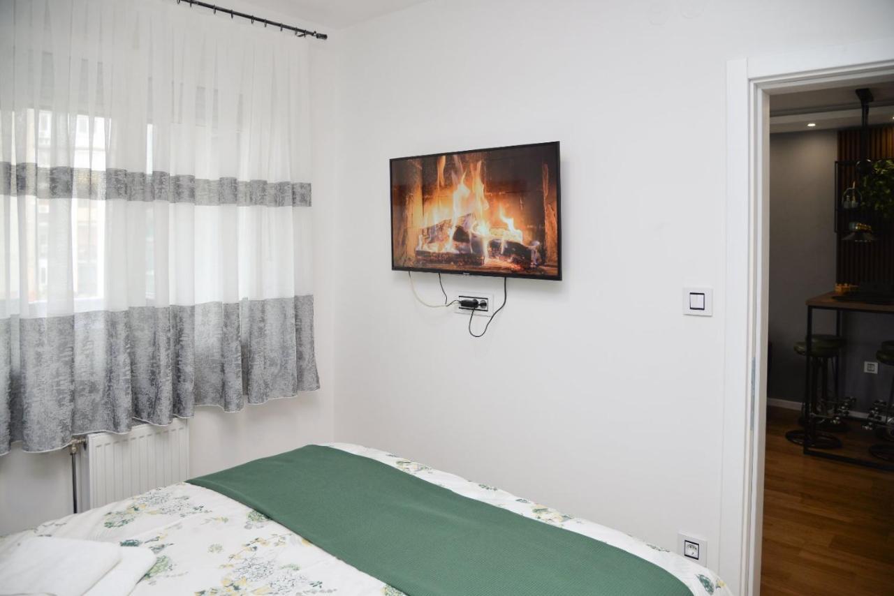 Mirror Apartment With Private Parking نوفي ساد المظهر الخارجي الصورة